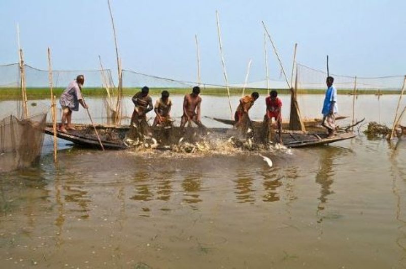 Fisheries1 Fisheries1
